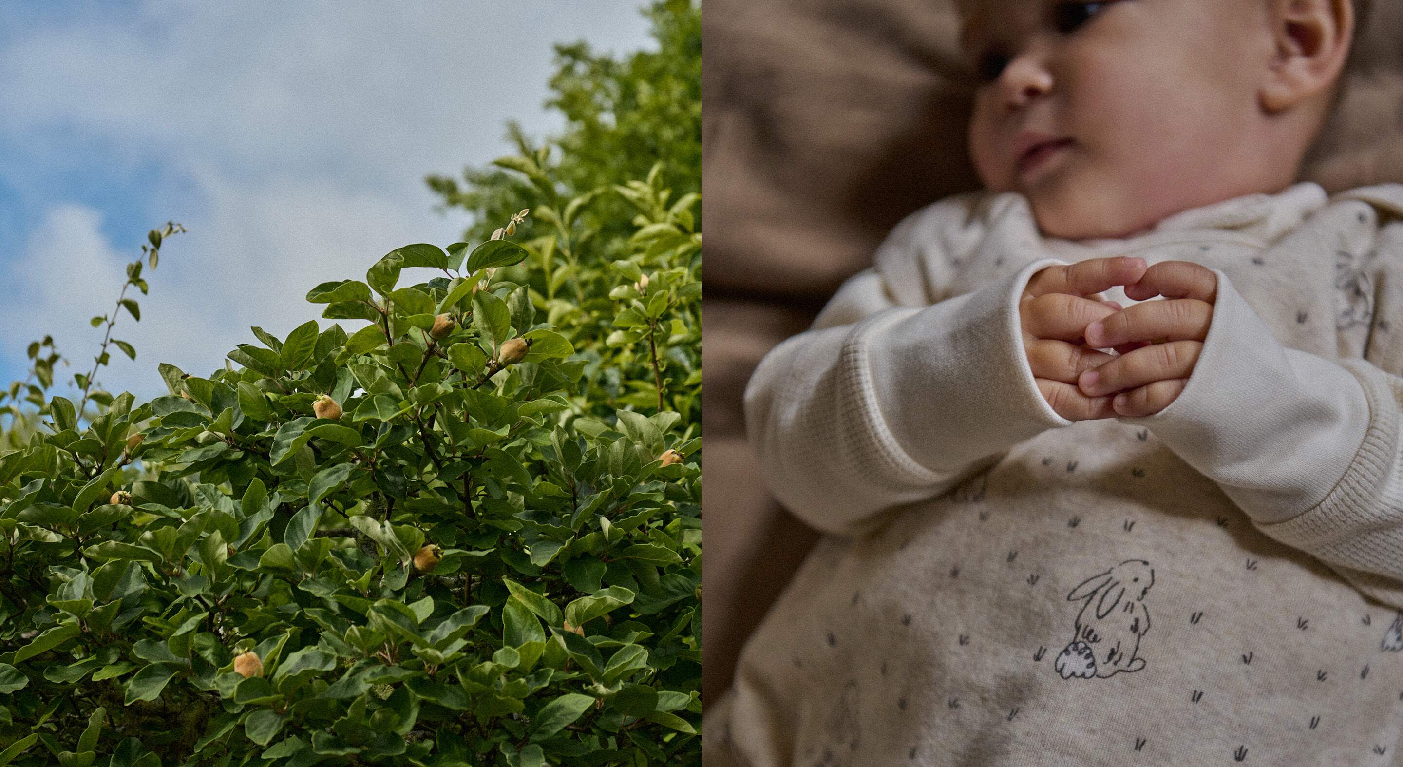 AW26_A_Poets_Garden_HP_Banner_Desktop-Nature Baby
